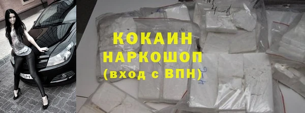 мет Алексин