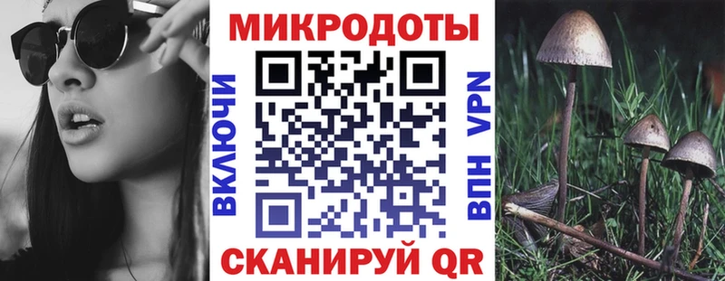 цены наркотик  Бугуруслан  Псилоцибиновые грибы Magic Shrooms 