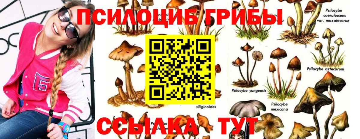Бугуруслан  продажа наркотиков  Вход с VPN  Псилоцибиновые грибы Psilocybine cubensis 